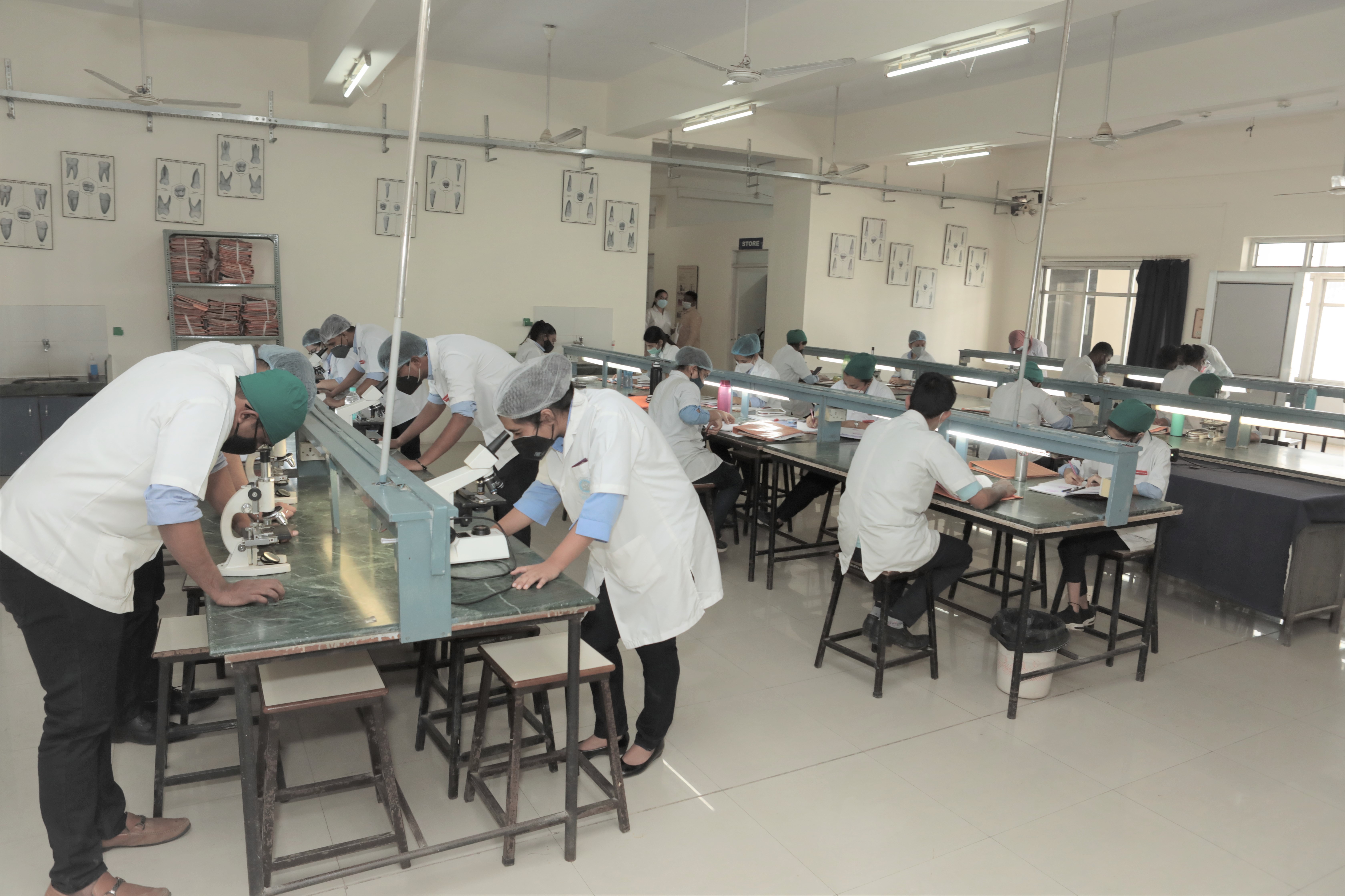 Preclinical Lab II