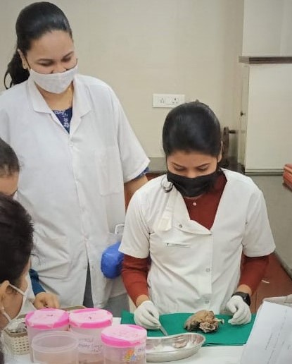 Histopathology- Grossing