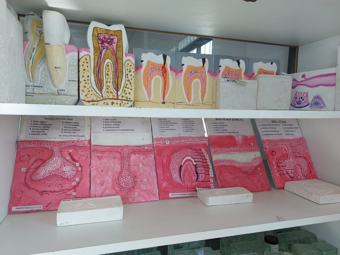Museum- Student Projects